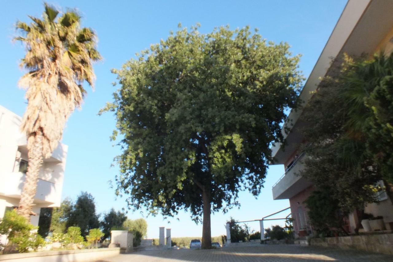 La Vallonea Casamassella Exteriér fotografie